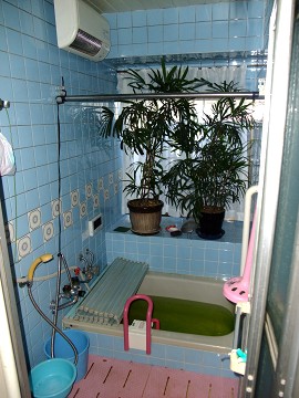 �񋏂��񂹂񓰁@�������t�H�[���@�{�H�O